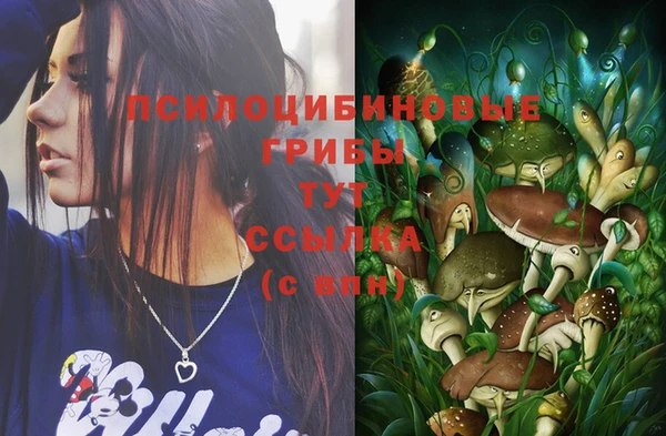 MESCALINE Корсаков
