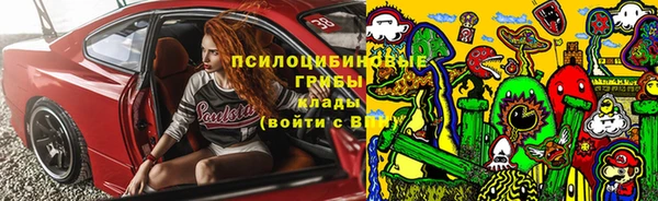 прущая мука Кодинск