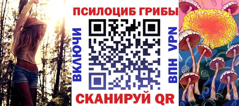 Купить где  Пересвет  Галлюциногенные грибы мицелий 